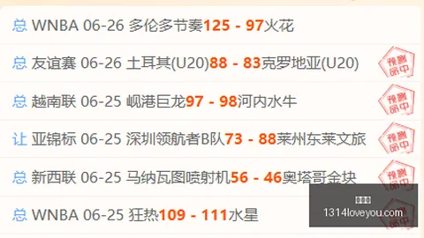 世界杯，足球赛事， 115111